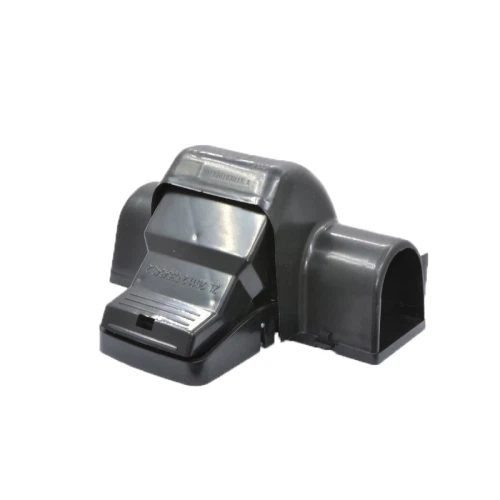 מלכודת עכברים בטוחה לכלבים