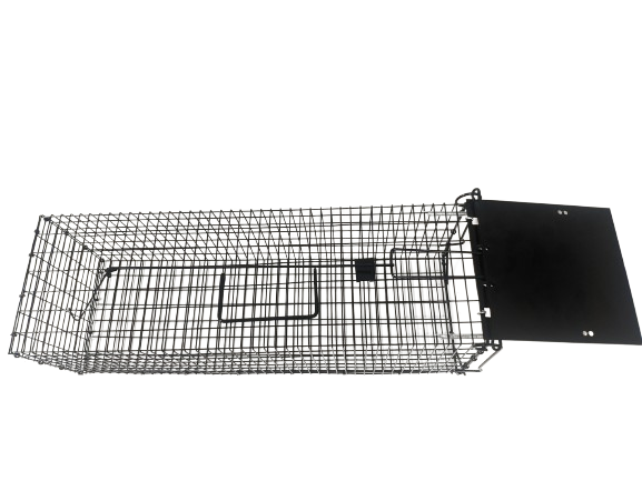 Humane Live Rat Rodent Traps Cage