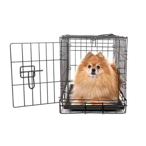 Pet Products