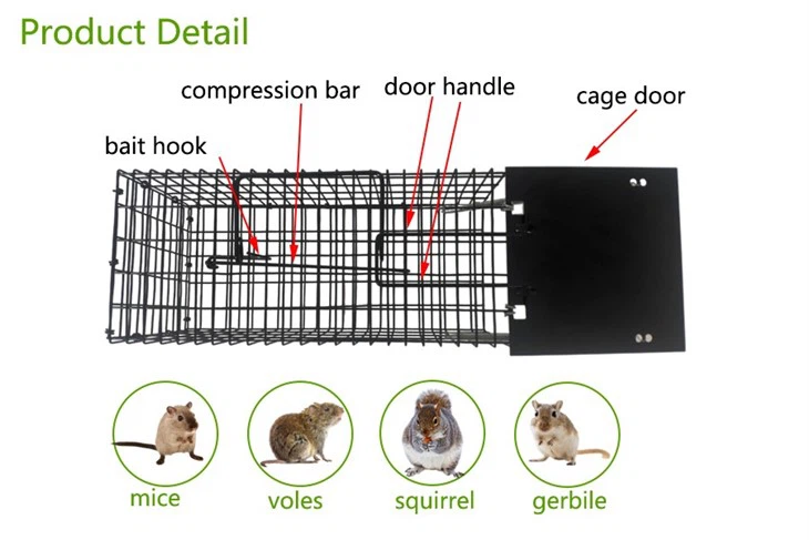 Easy Set Mouse And Rat Cage Trap