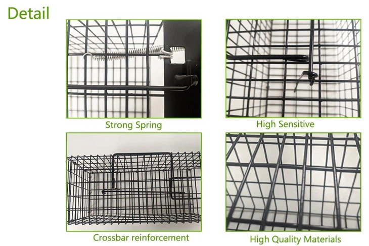 Easy Set Mouse And Rat Cage Trap